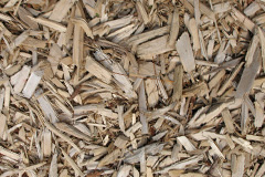 biomass boilers Buryas Br