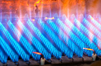 Buryas Br gas fired boilers